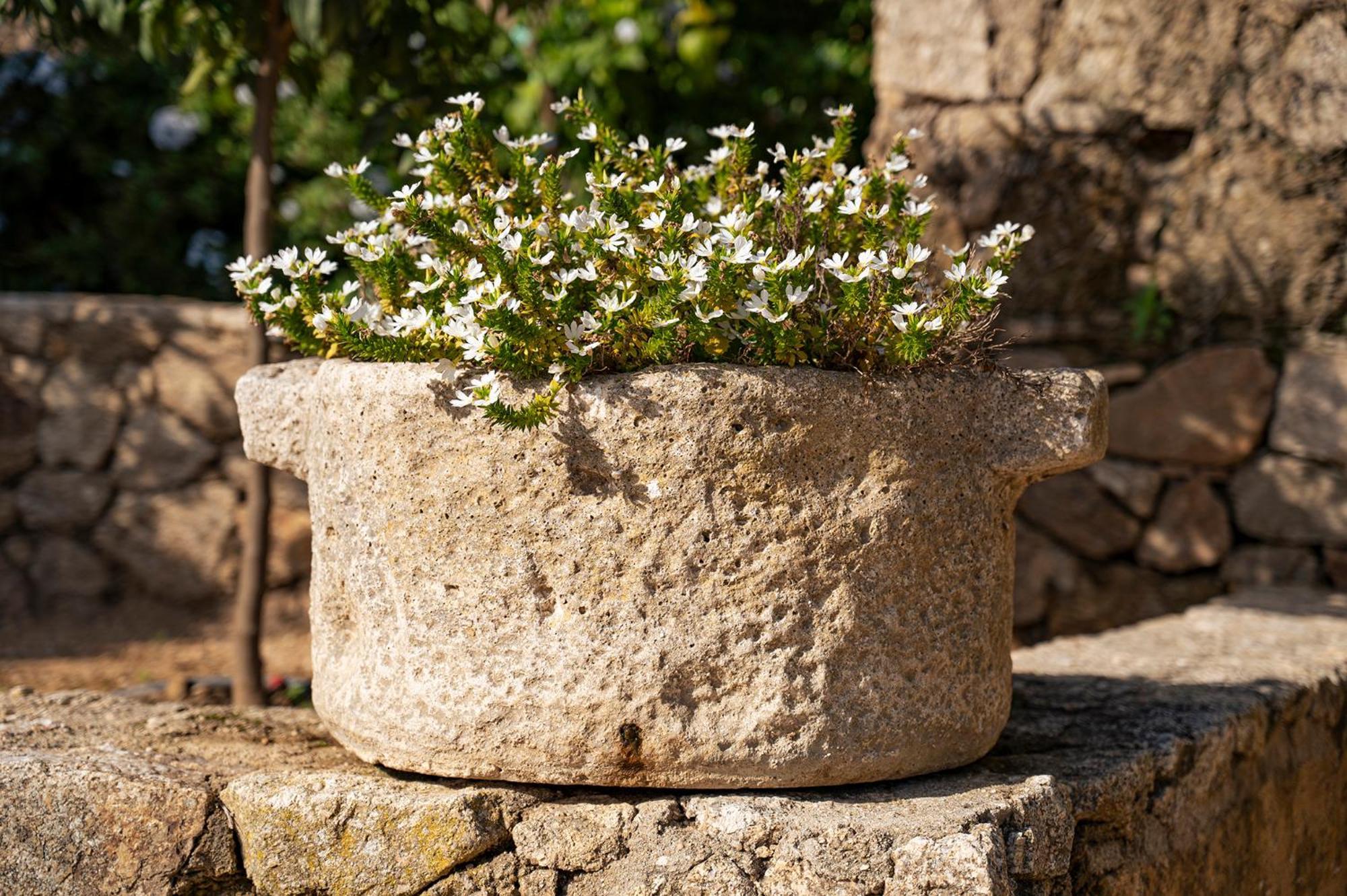 Le Clos De Mansart Grimaud Εξωτερικό φωτογραφία