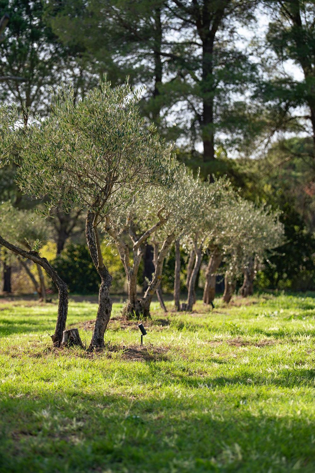Le Clos De Mansart Grimaud Εξωτερικό φωτογραφία